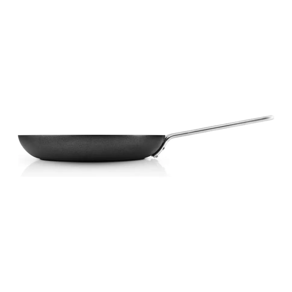 Black line Stegepande