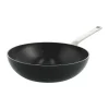 Evolution Wok