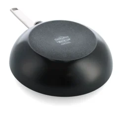 Evolution Wok