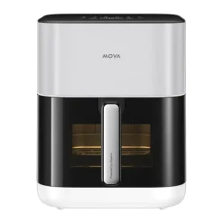 FD10 Pro Airfryer
