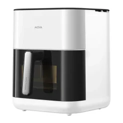 FD10 Pro Airfryer