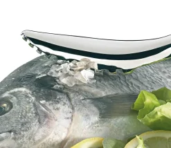 Fiskeskælskraber