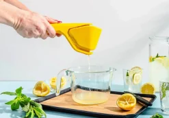 Fluicer Citruspresser