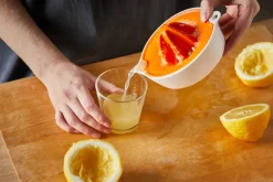 Functional Form Citruspresser