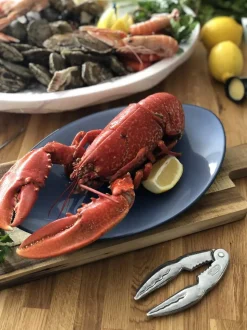 Krabbeknækker