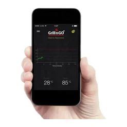 One 2.0 Stegetermometer