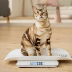 PP170 Polly Kæledyrsvægt
