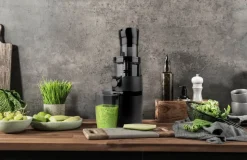 Slow Juicer